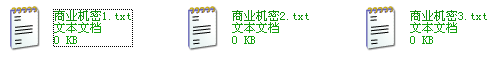 加密后的文件
